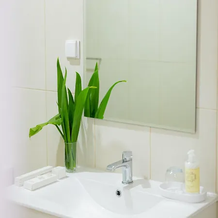 Atlantic Bay - Forest Ponta Delgada (Sao Miguel)