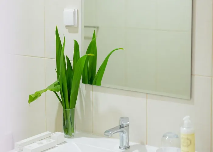 Atlantic Bay - Forest Ponta Delgada (Sao Miguel)